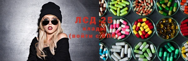 крисы Алексин