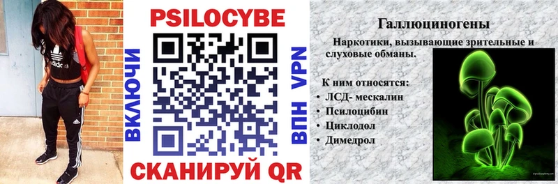 Галлюциногенные грибы Psilocybe сколько стоит Кольчугино